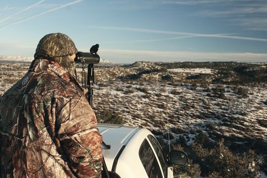 Tripod-mounted binoculars are the best choice for glassing up javelina.